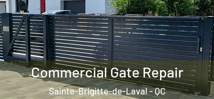 Commercial Gate Repair Sainte-Brigitte-de-Laval - QC