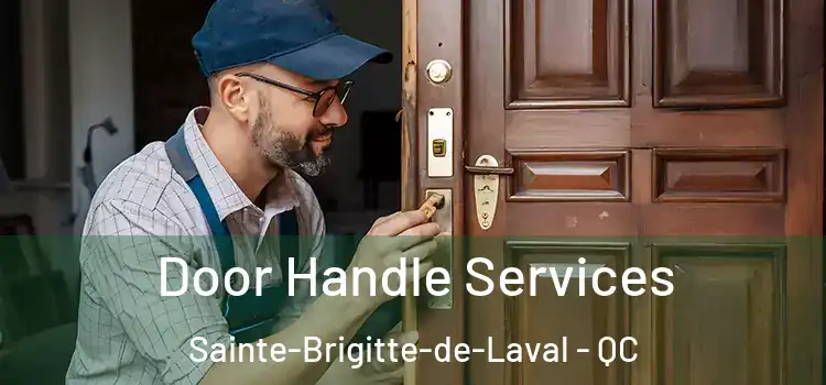 Door Handle Services Sainte-Brigitte-de-Laval - QC