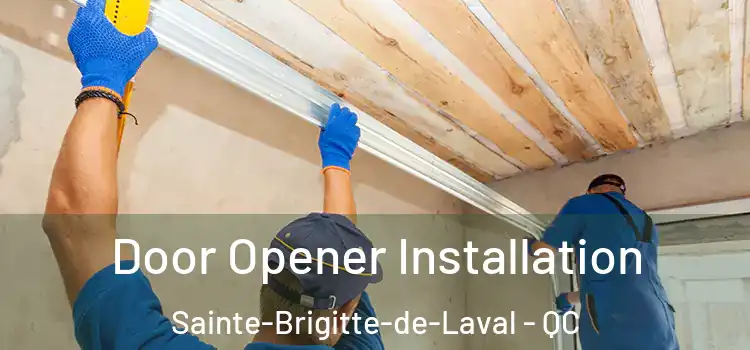  Door Opener Installation Sainte-Brigitte-de-Laval - QC