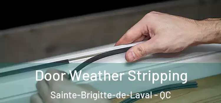  Door Weather Stripping Sainte-Brigitte-de-Laval - QC