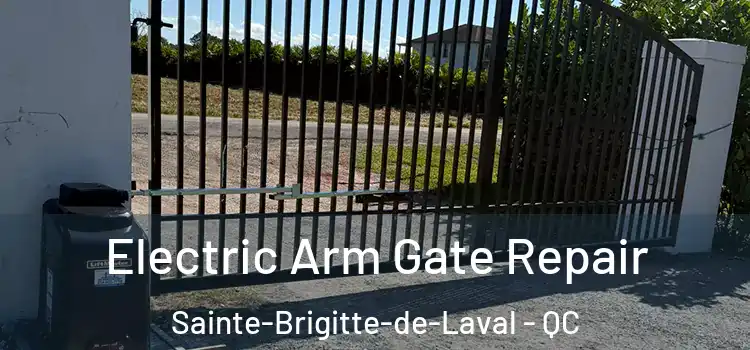 Electric Arm Gate Repair Sainte-Brigitte-de-Laval - QC