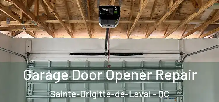  Garage Door Opener Repair Sainte-Brigitte-de-Laval - QC
