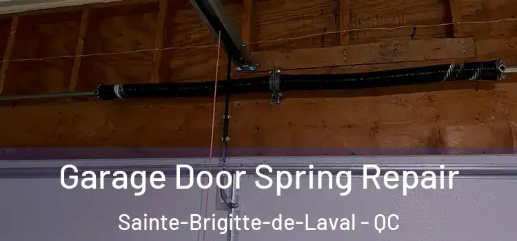  Garage Door Spring Repair Sainte-Brigitte-de-Laval - QC