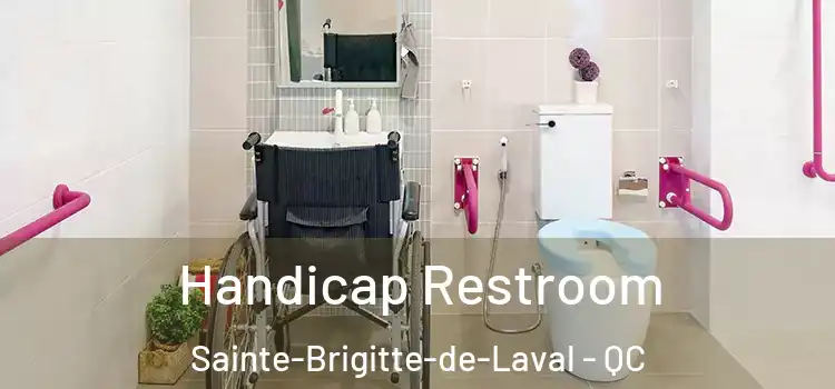 Handicap Restroom Sainte-Brigitte-de-Laval - QC