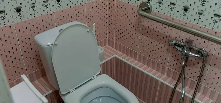 Meeting Diverse Needs With Accessible Restroom Solutions in Sainte-Brigitte-de-Laval, QC