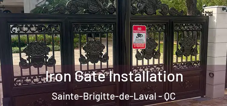 Iron Gate Installation Sainte-Brigitte-de-Laval - QC