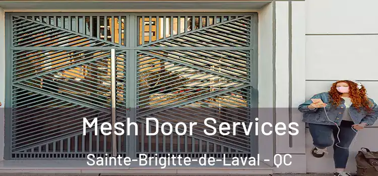 Mesh Door Services Sainte-Brigitte-de-Laval - QC